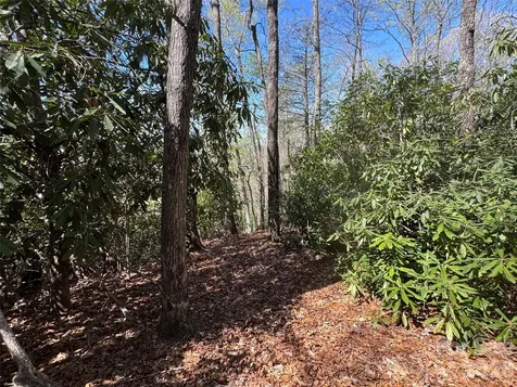 33 Reserve Road Pisgah Forest NC 28768