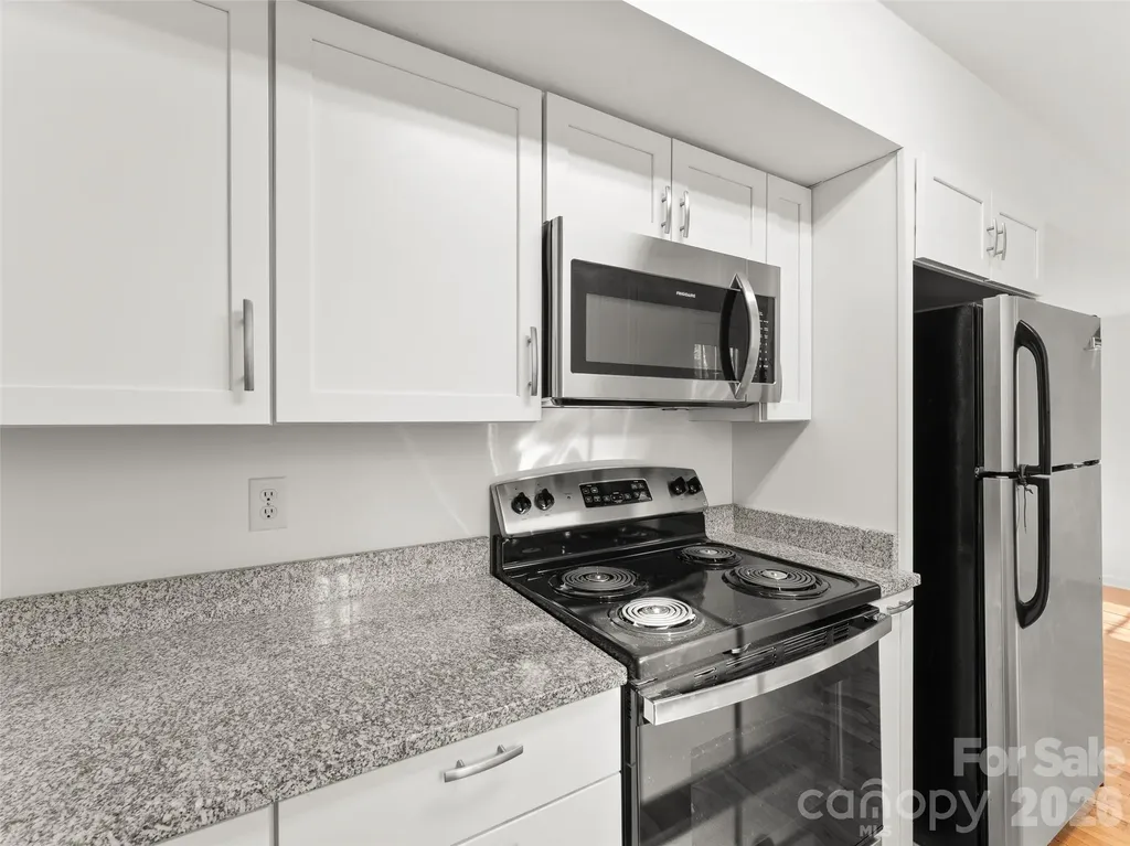 13 Castle Street Asheville NC 28803