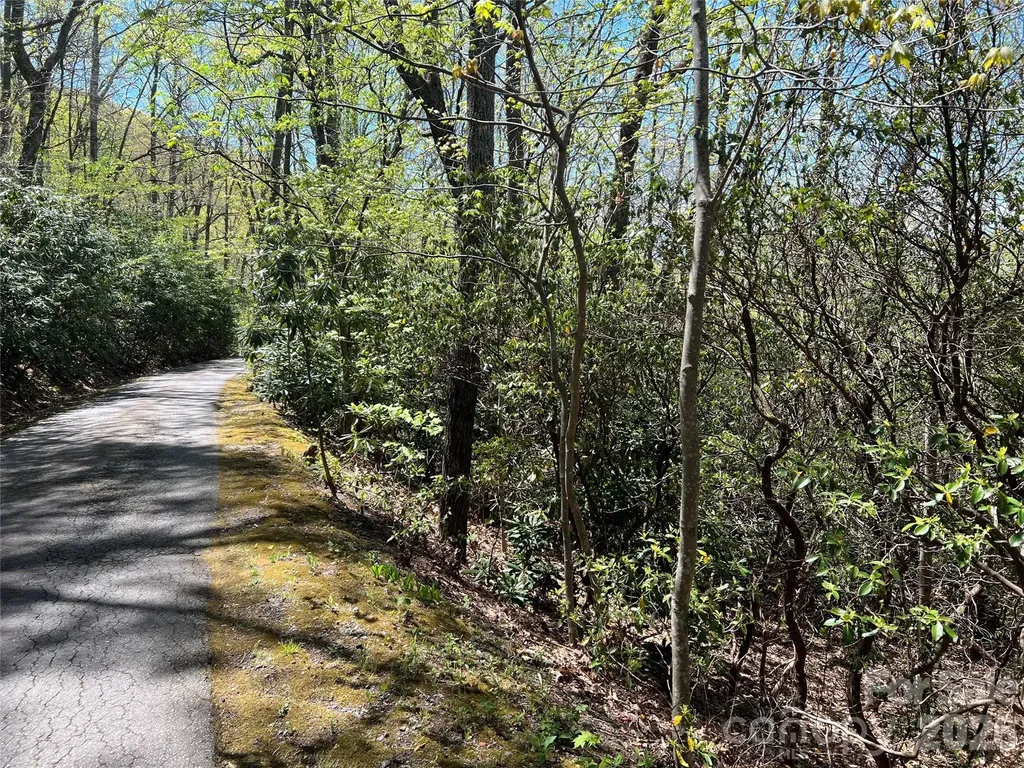 99999 Summer Haven Road Swannanoa NC 28778