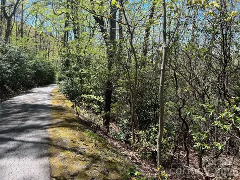 99999 Summer Haven Road Swannanoa NC 28778