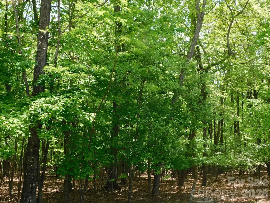 1064 Skye Drive Pisgah Forest NC 28768