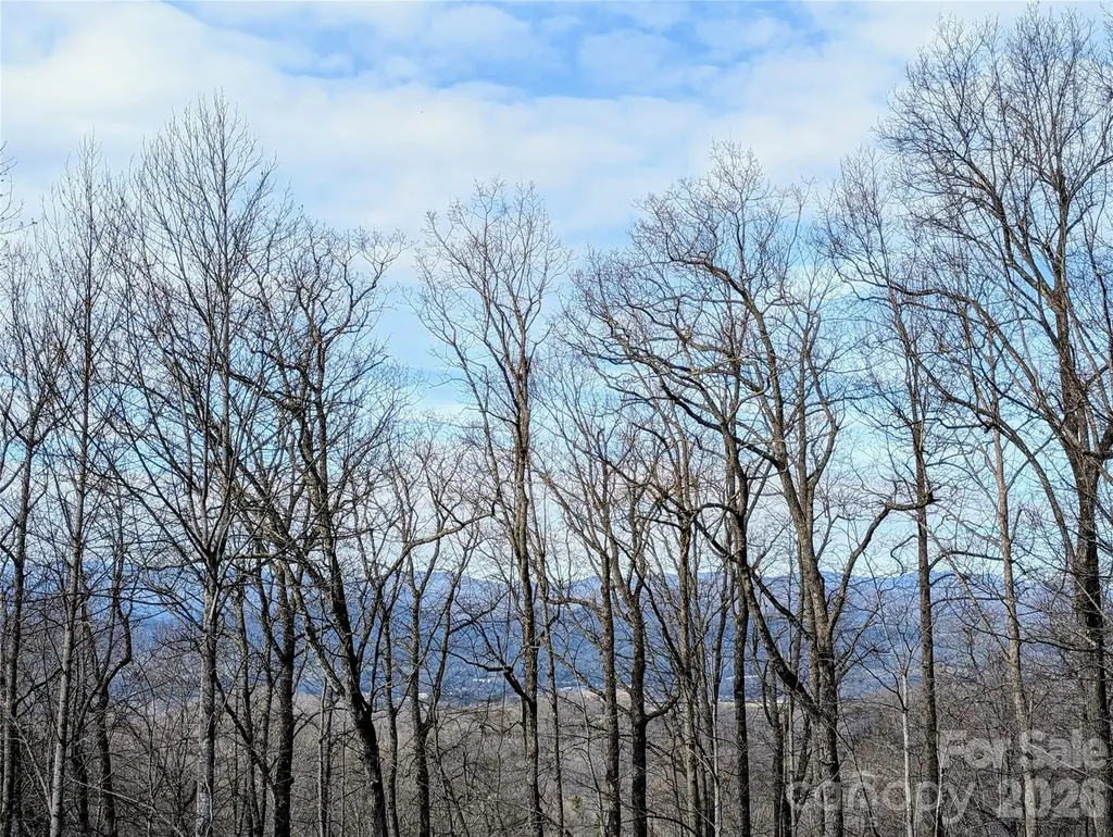 1064 Skye Drive Pisgah Forest NC 28768