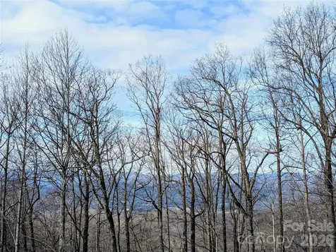 1064 Skye Drive Pisgah Forest NC 28768