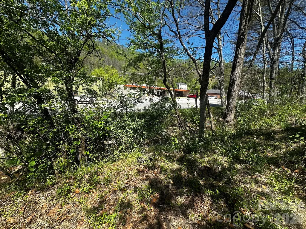 9 Poplar Drive Spruce Pine NC 28777