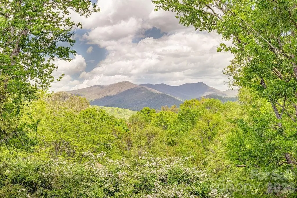 6 Clear Vista Drive Asheville NC 28805