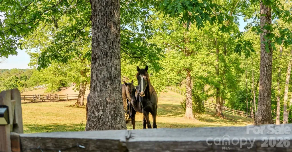 777 S River Road Tryon NC 28782