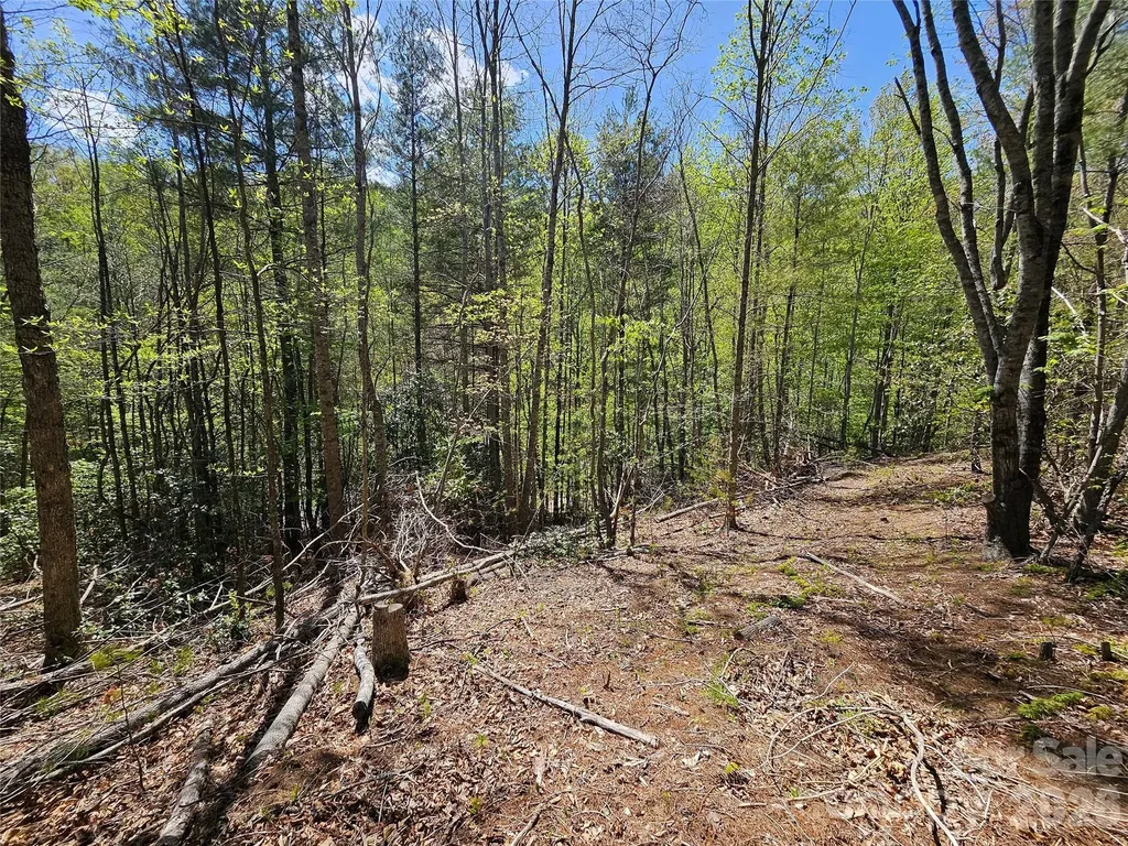 465 Paradise Lane Burnsville NC 28714