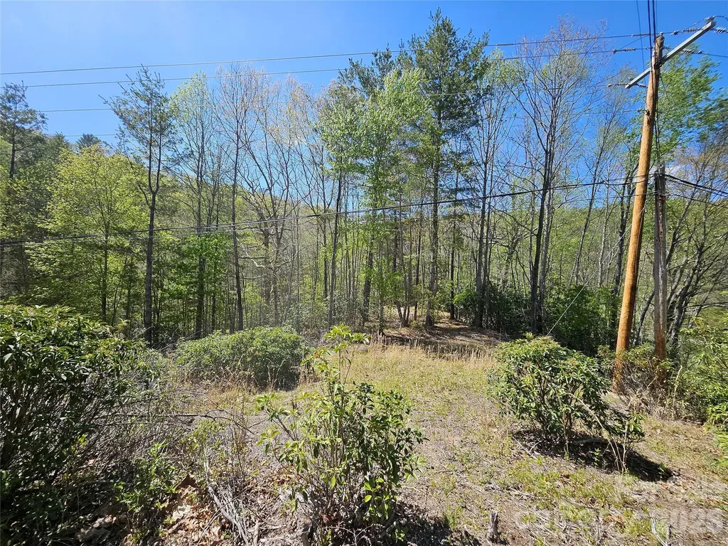 465 Paradise Lane Burnsville NC 28714