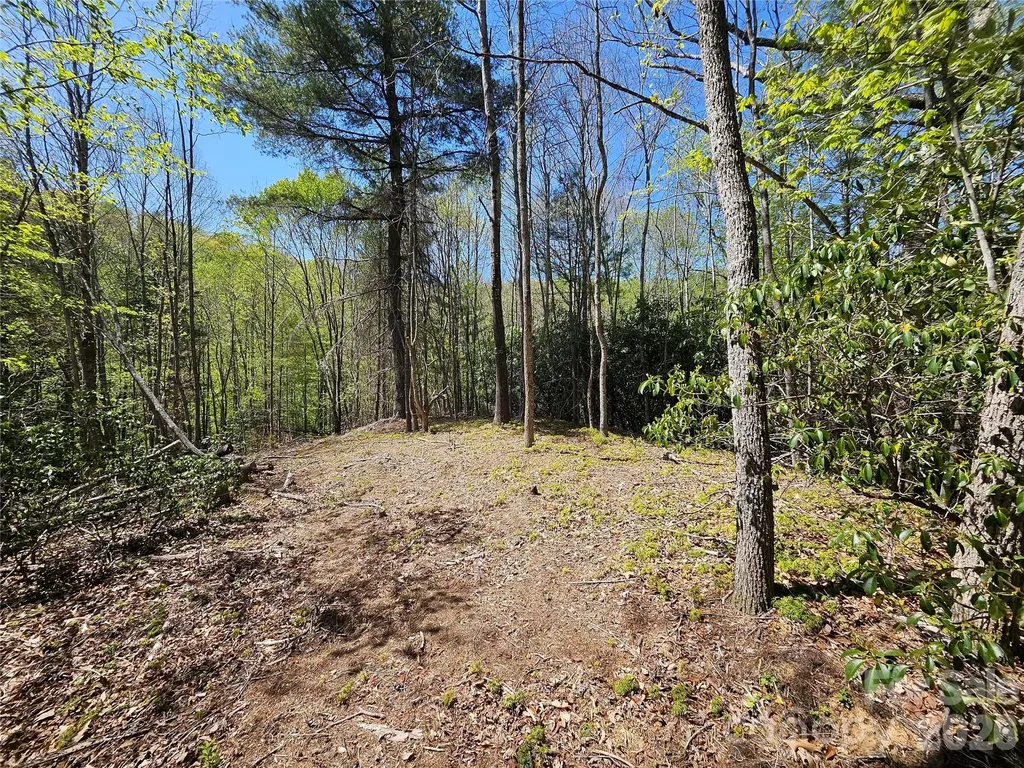 465 Paradise Lane Burnsville NC 28714