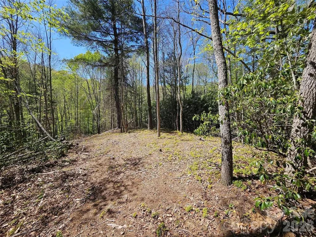 465 Paradise Lane Burnsville NC 28714