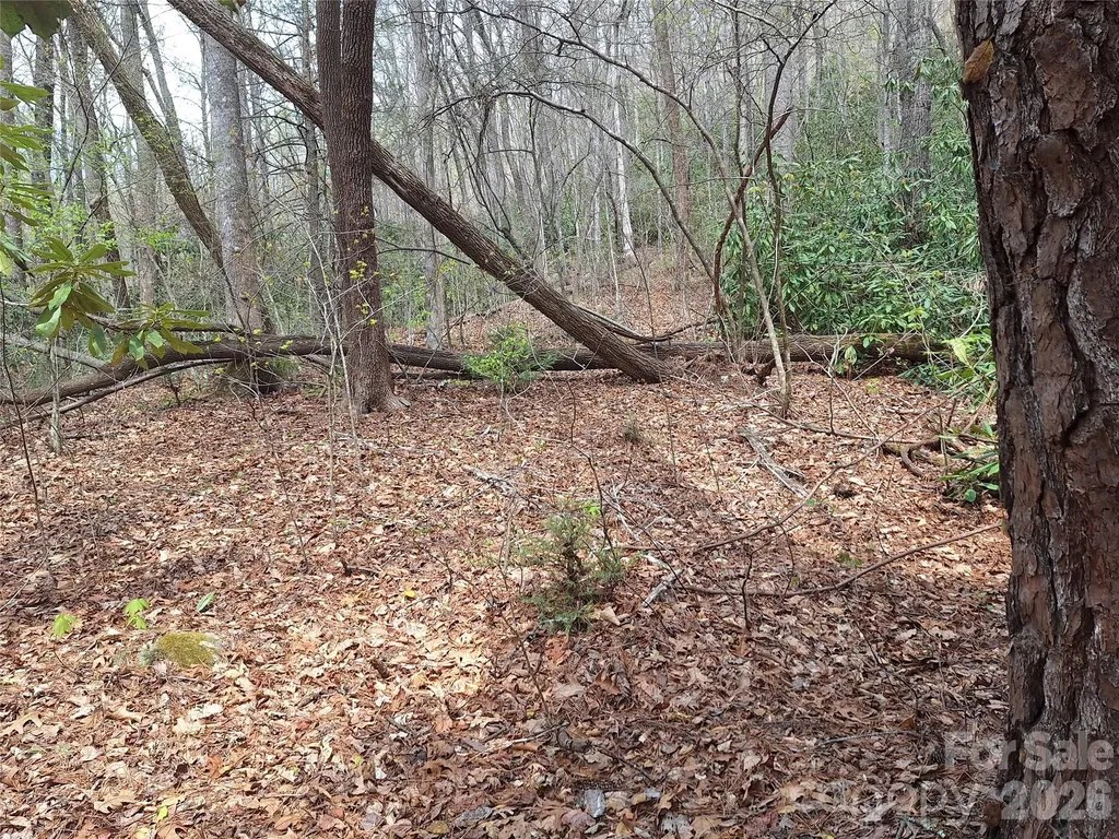 946 Lake Road Old Fort NC 28762