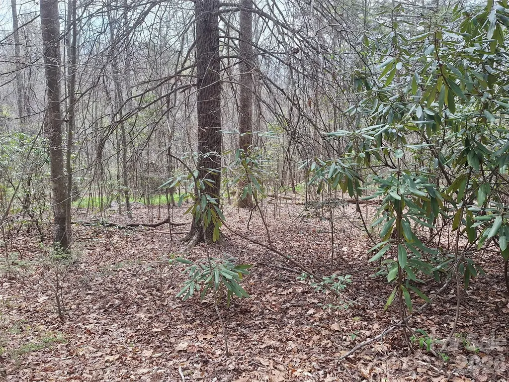 946 Lake Road Old Fort NC 28762