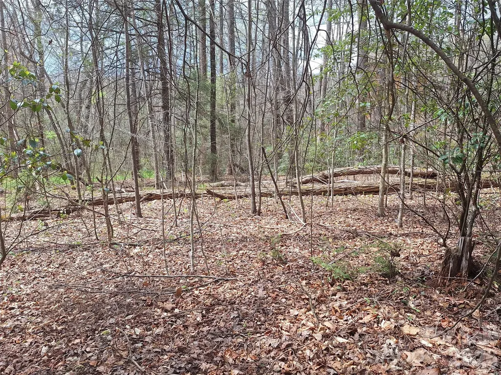 946 Lake Road Old Fort NC 28762