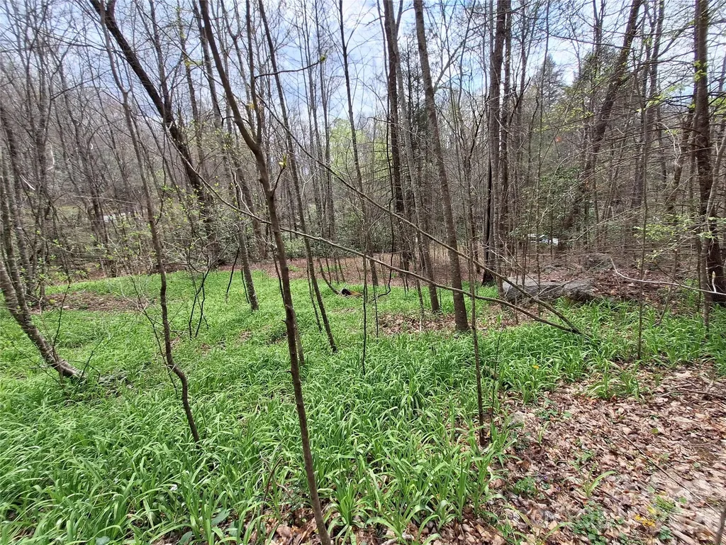 946 Lake Road Old Fort NC 28762