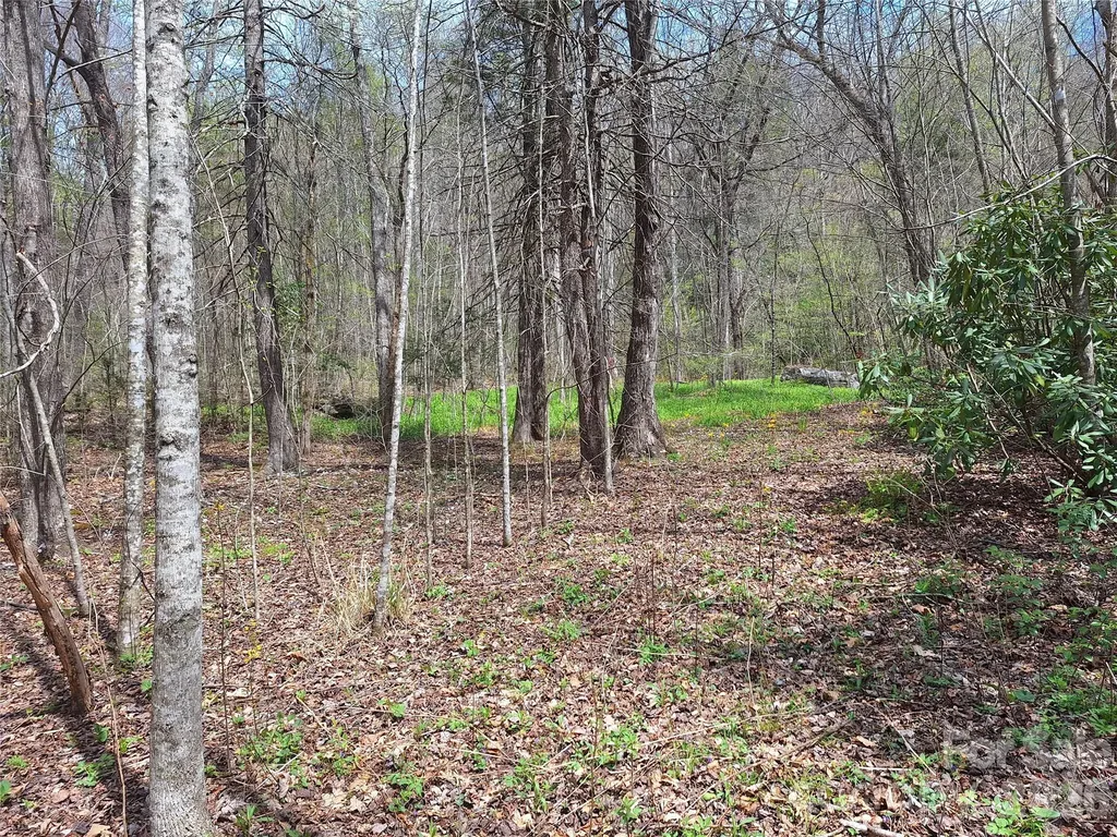 946 Lake Road Old Fort NC 28762