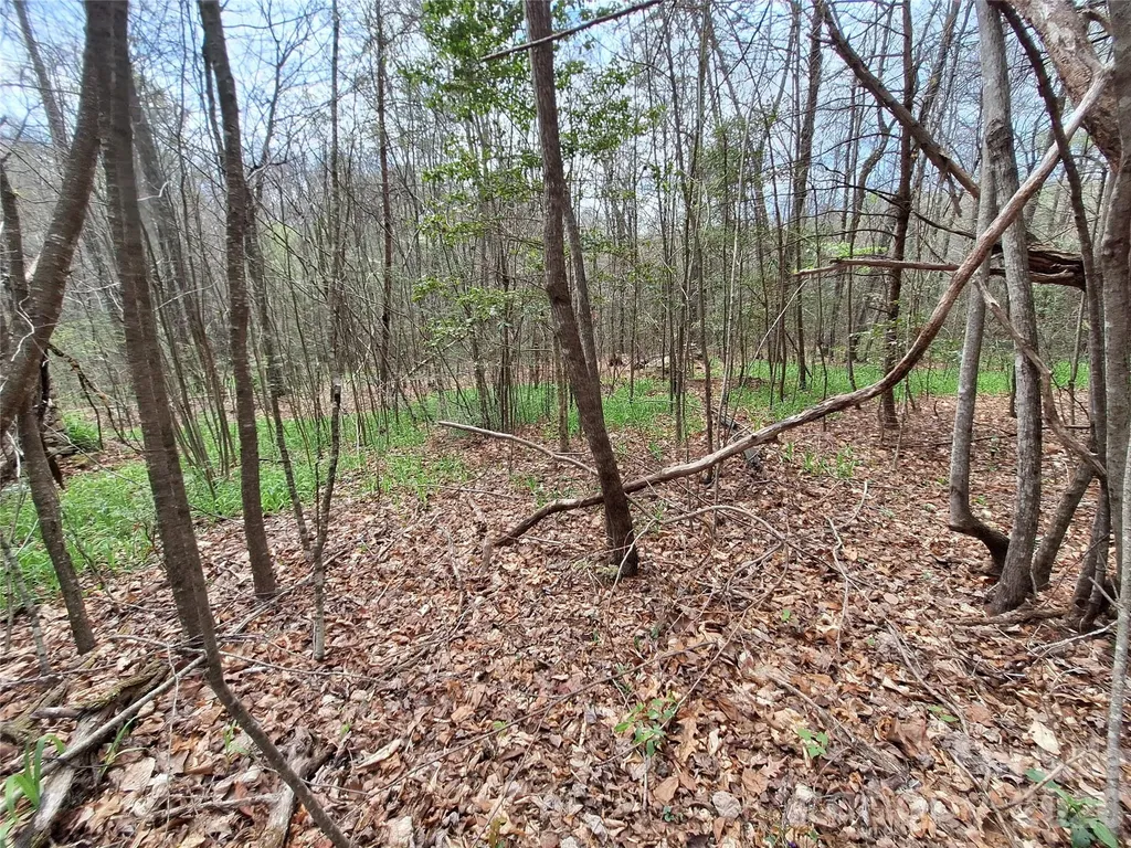 946 Lake Road Old Fort NC 28762