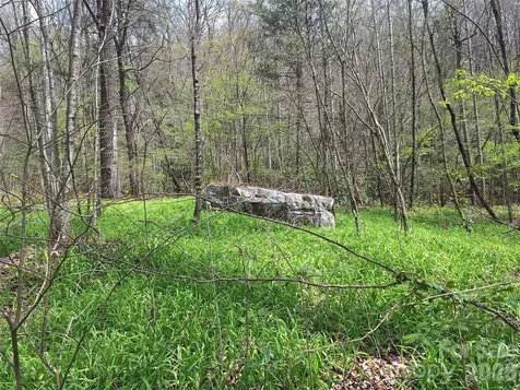 946 Lake Road Old Fort NC 28762