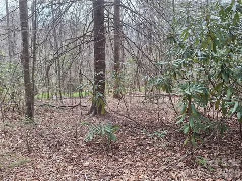 946 Lake Road Old Fort NC 28762