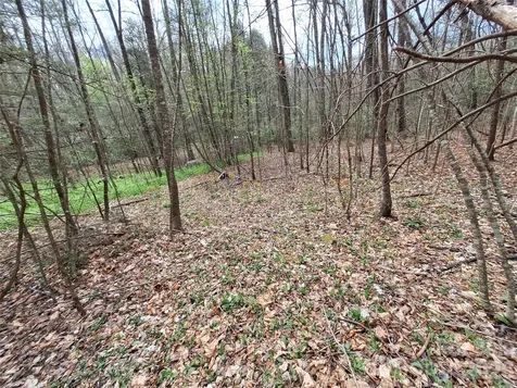 946 Lake Road Old Fort NC 28762