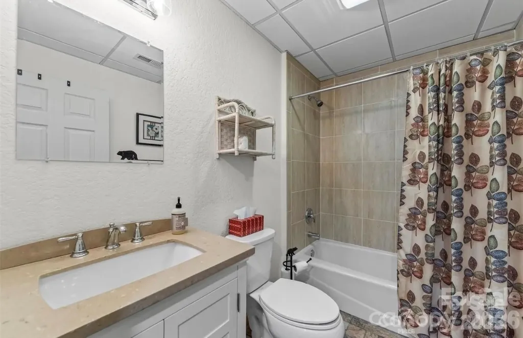 461 N Mallard Cove Almond NC 28771