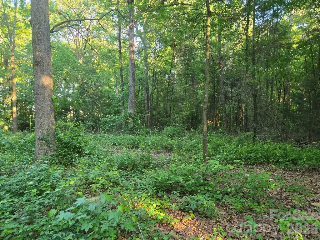 0000 218 Highway E Marshville NC 28103
