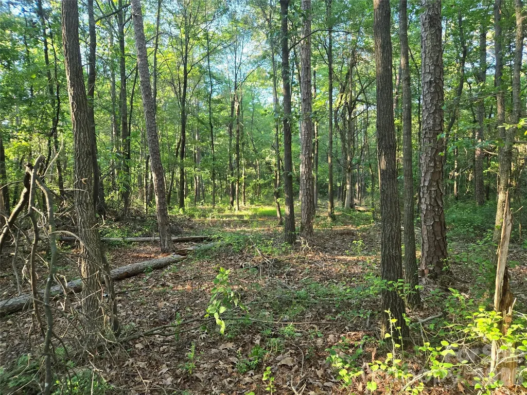 0000 218 Highway E Marshville NC 28103