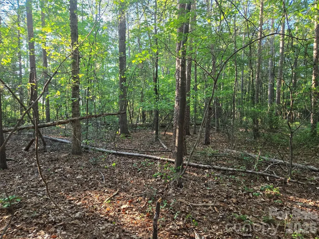 0000 218 Highway E Marshville NC 28103