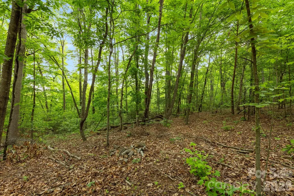 108 High Top Mountain Road Leicester NC 28748