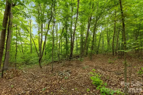 108 High Top Mountain Road Leicester NC 28748