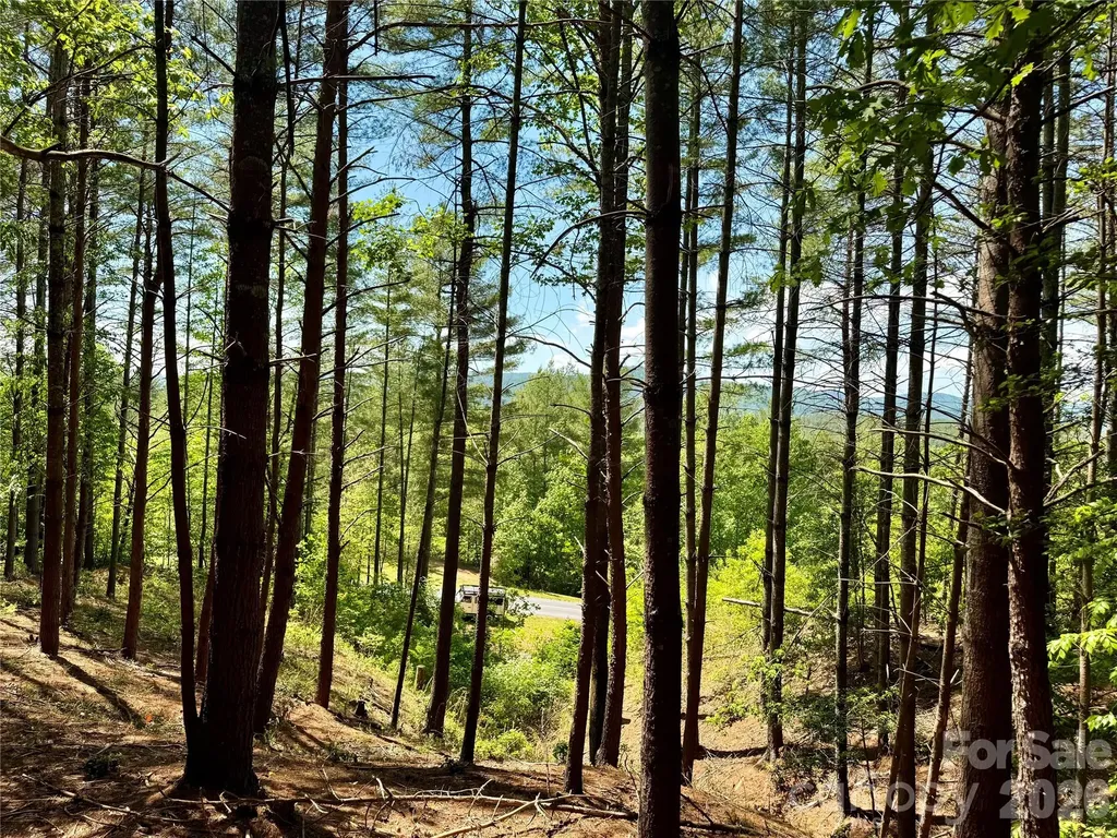 Lot 104 Johns Ridge Parkway Lenoir NC 28645