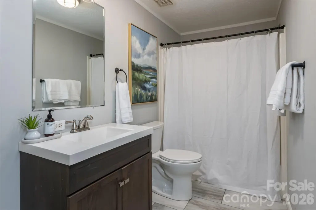 19 Sycamore Street Asheville NC 28804