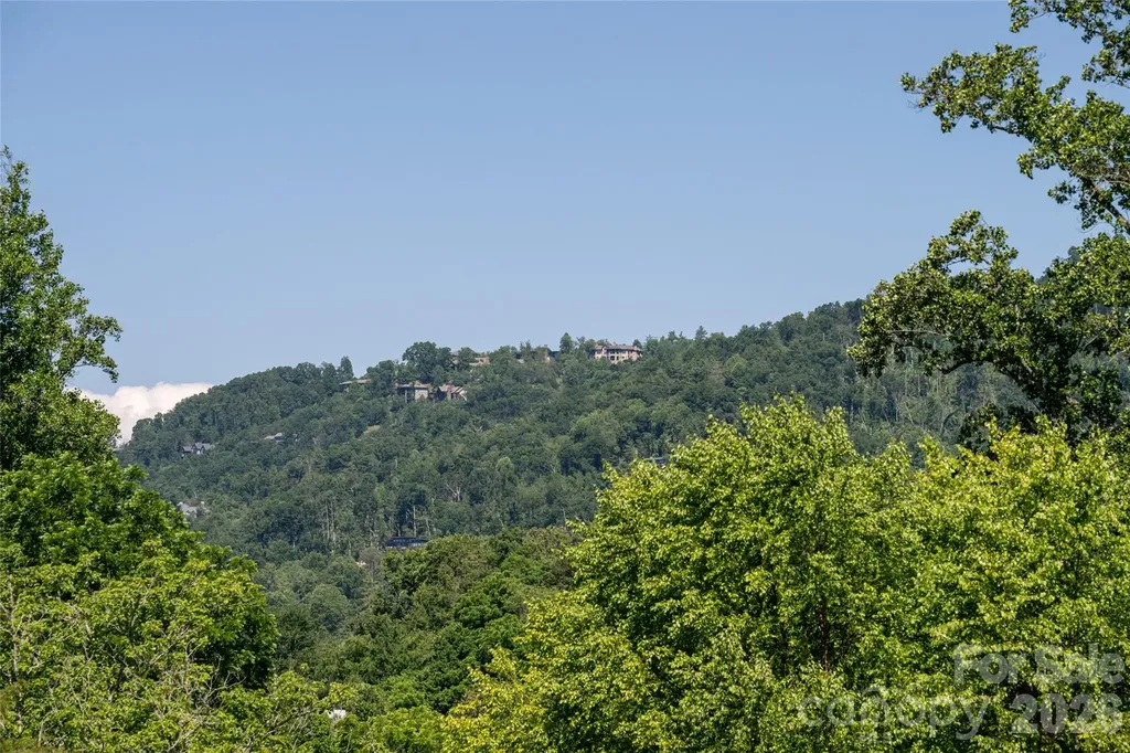 19 Sycamore Street Asheville NC 28804