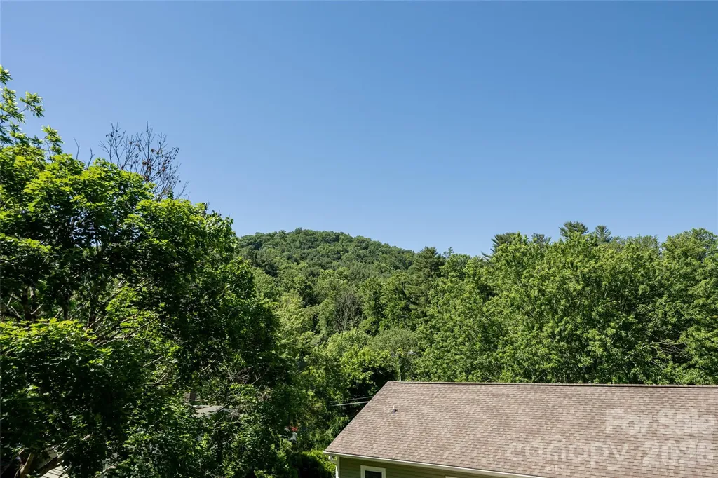 19 Sycamore Street Asheville NC 28804