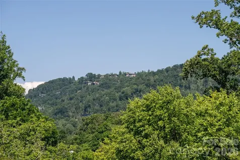 19 Sycamore Street Asheville NC 28804