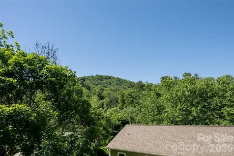 19 Sycamore Street Asheville NC 28804