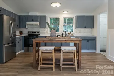 19 Sycamore Street Asheville NC 28804