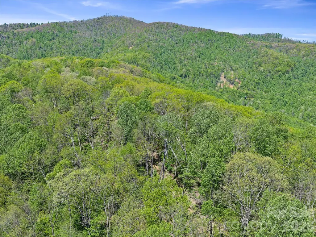 Tbd Holly Dale Drive Spruce Pine NC 28777