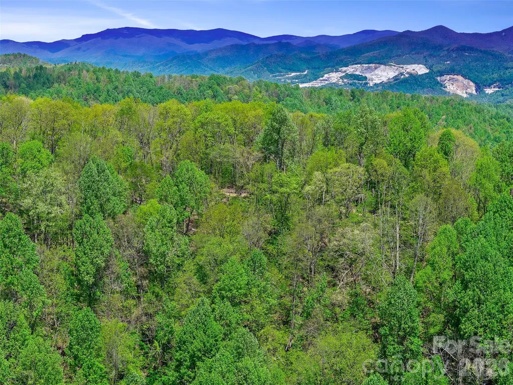 Tbd Holly Dale Drive Spruce Pine NC 28777