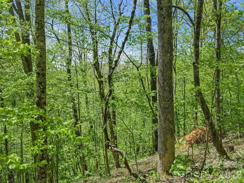Tbd Holly Dale Drive Spruce Pine NC 28777