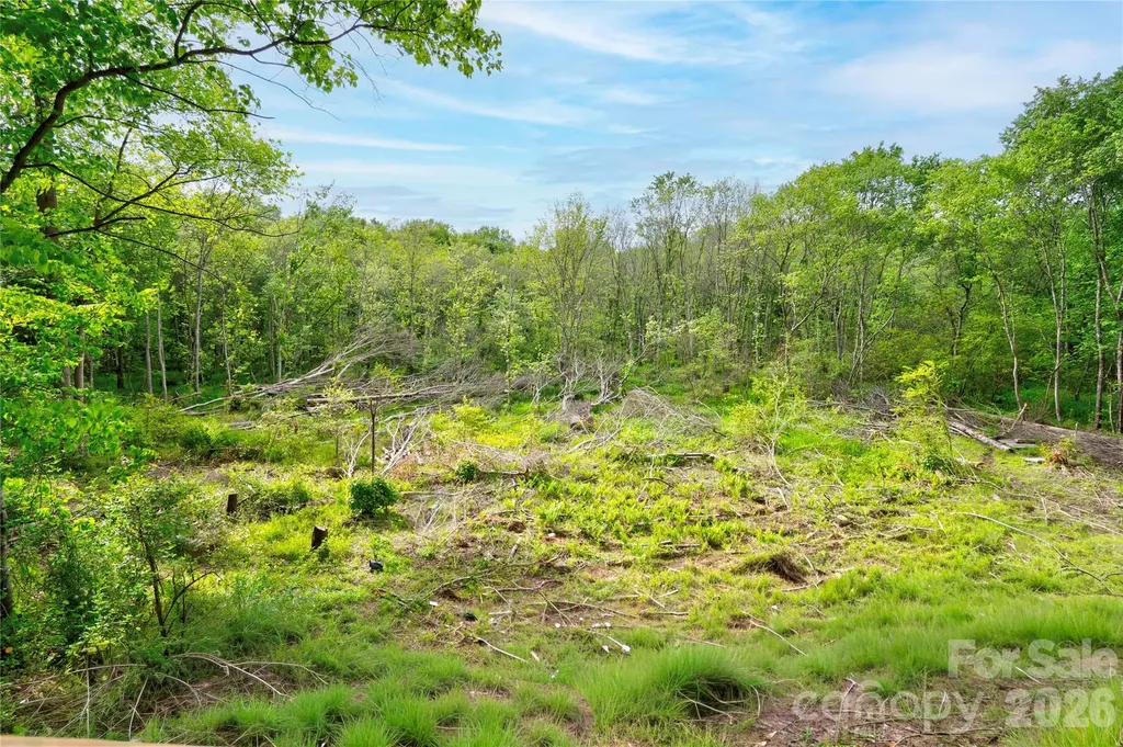 141 Knob Creek Drive Lawndale NC 28090