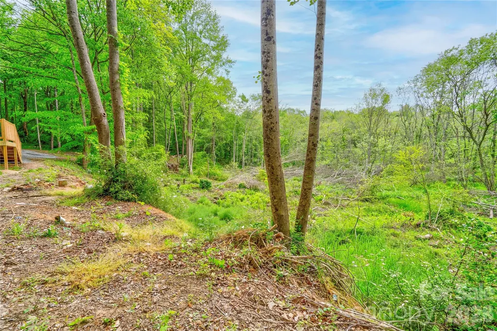 141 Knob Creek Drive Lawndale NC 28090