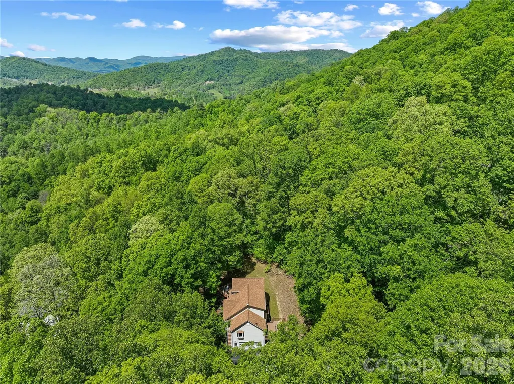 55 Sugar Hill Drive Weaverville NC 28787