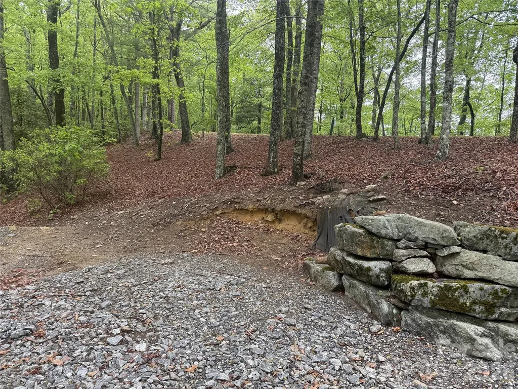39 Black Bear Ridge Trail Zirconia NC 28790