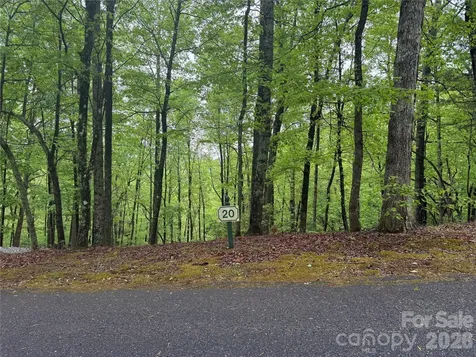39 Black Bear Ridge Trail Zirconia NC 28790