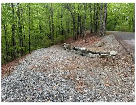 39 Black Bear Ridge Trail Zirconia NC 28790