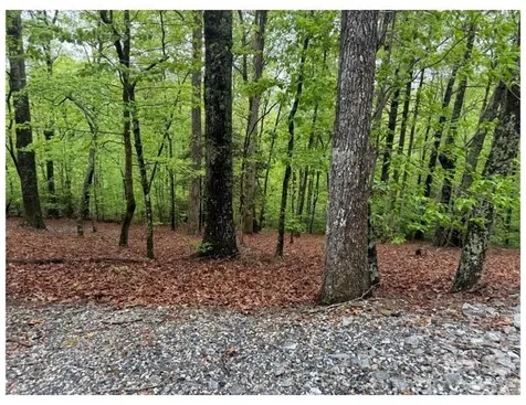 39 Black Bear Ridge Trail Zirconia NC 28790