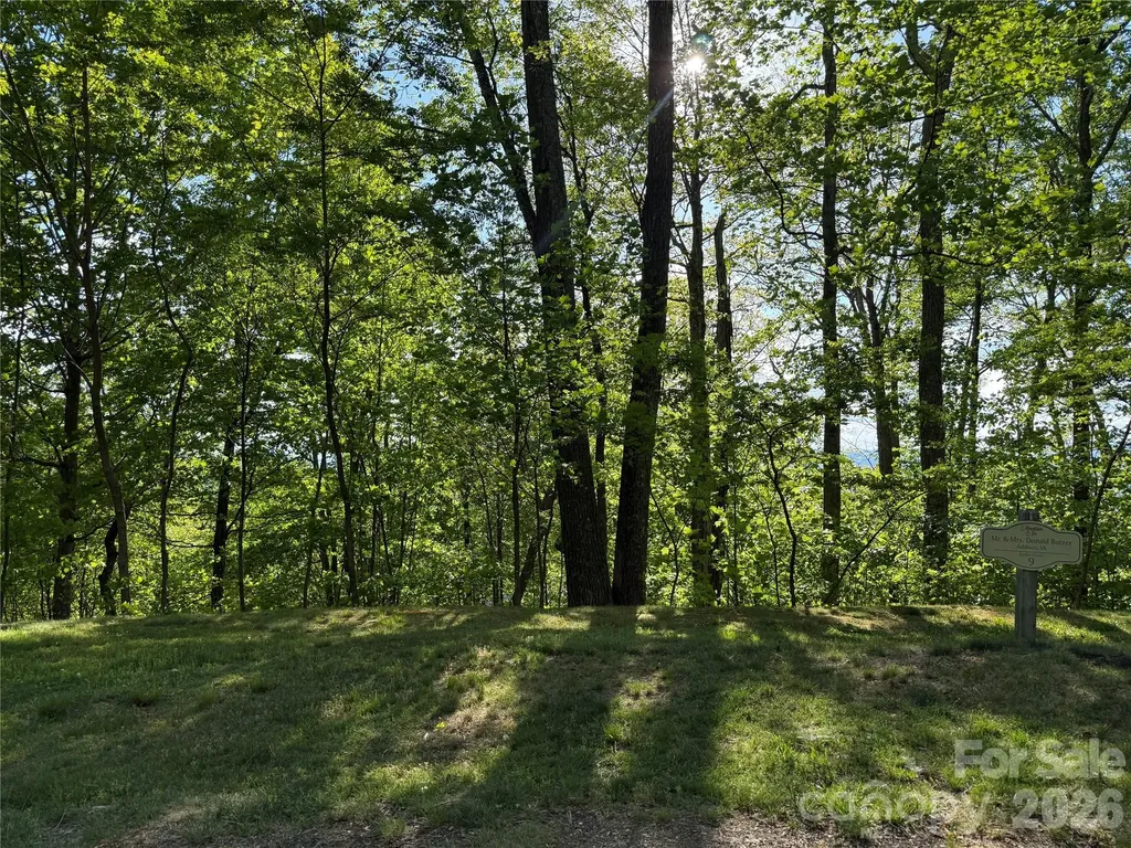 Lot 9 & 10 Andrew Banks Road Burnsville NC 28714