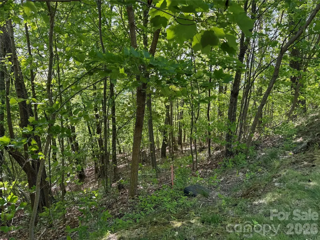 Lot 9 & 10 Andrew Banks Road Burnsville NC 28714