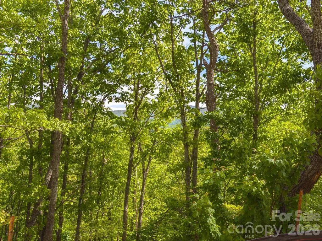 10.1 Acres On Old Fort Road Fairview NC 28730