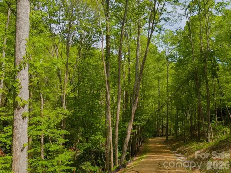 10.1 Acres On Old Fort Road Fairview NC 28730